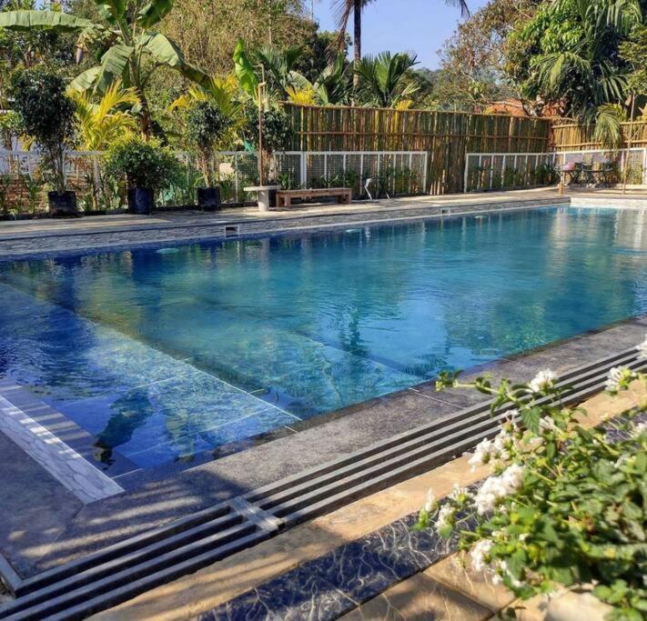 فيلا Ibiza Wonderland , Meppadi Wayanad المظهر الخارجي الصورة
